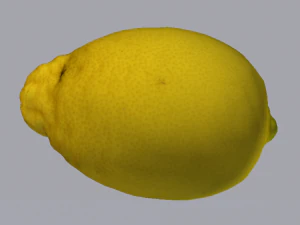 Lemon 3D Model