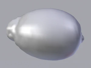 Lemon 3D Model