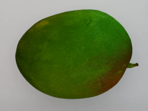 Mango 3D Model