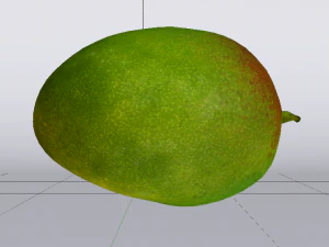 Mango 3D Model