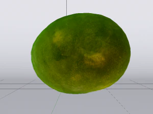 Mango 3D Model