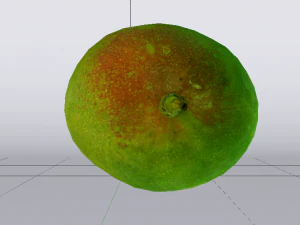 Mango 3D Model