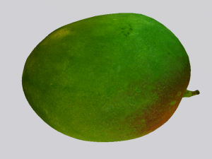 Mango 3D Модель
