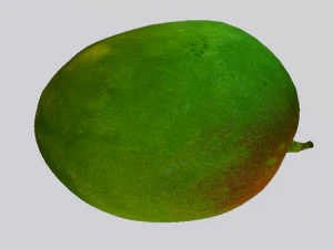 Mango 3D Model