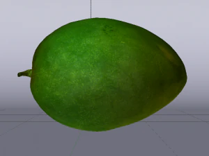 Mango 3D Model