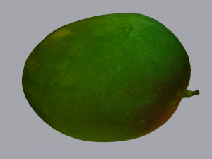 Mango 3D Модель