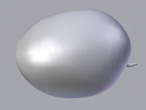 Mango 3D Model