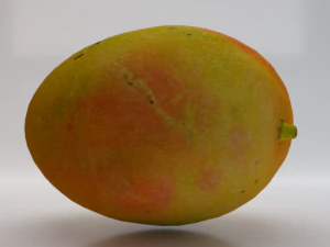 Mango Model 3D