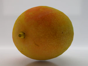 Mango Model 3D
