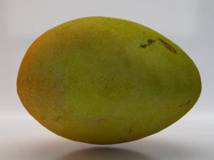 Mango Model 3D