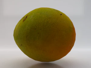 Mango Model 3D