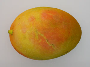 Mango Model 3D