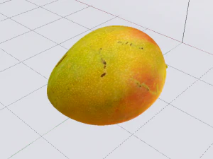 Mango Model 3D