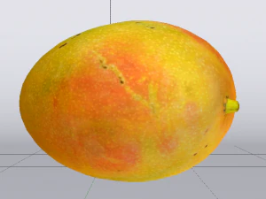 Mango Model 3D