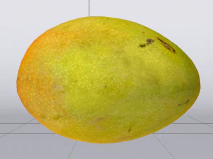 Mango Model 3D