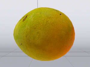 Mango Model 3D