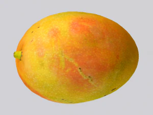 Mango Model 3D