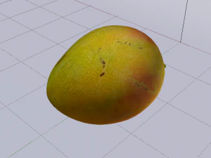 Mango Model 3D