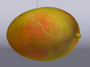 Mango Model 3D