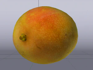 Mango Model 3D