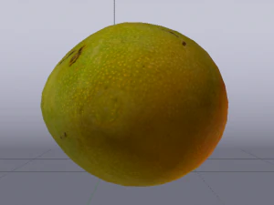 Mango Model 3D