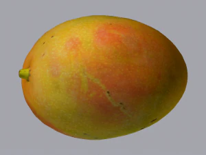 Mango Model 3D