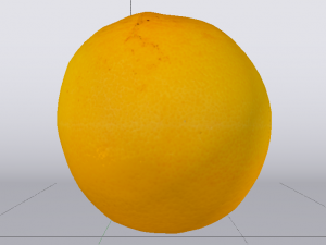 Orange 3D Model