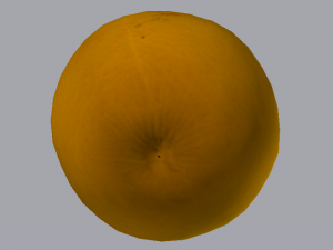 Orange 3D Model