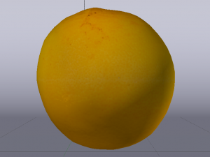 Orange 3D Model