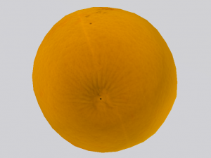 Orange 3D Model