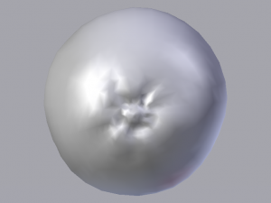 Orange 3D Model