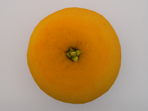 Orange 3Dモデル