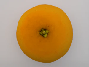 Orange 3D Model