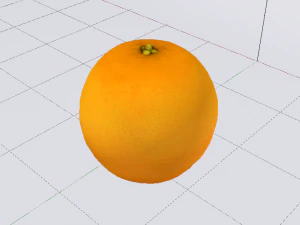 Orange 3D Model