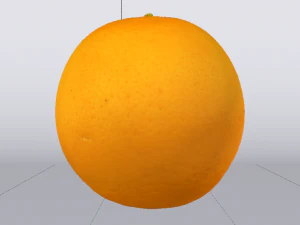 Orange 3D Model