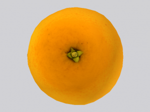 Orange 3Dモデル