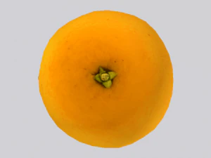 Orange 3D Model