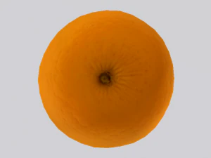 Orange 3D Model