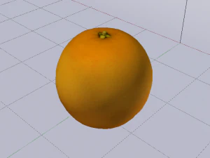 Orange 3D Model