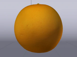 Orange 3D Model