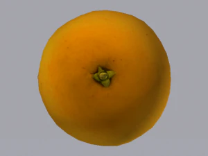 Orange 3D Model