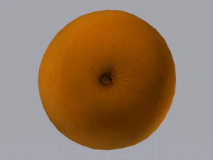 Orange 3D Model