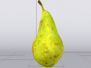 Photorealistic Pear 3D Model