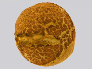 Bread 3D Model