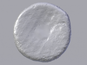 Bread 3D Model