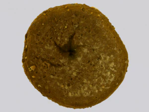 Brown Bread 3D Model