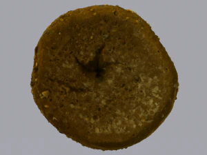 Brown Bread 3D Model