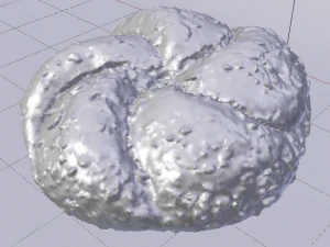Brown Bread 3D Model