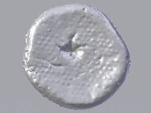 Brown Bread 3D Model