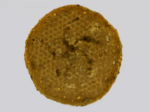 Brown Bread 3D Model